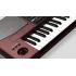 TECLADO KORG PA1000 ARRANJADOR TECLADO KORG PA1000 ARRANJADOR